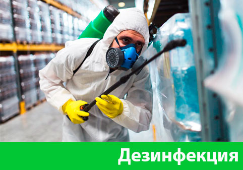 Дезинфекция в городе Асбест