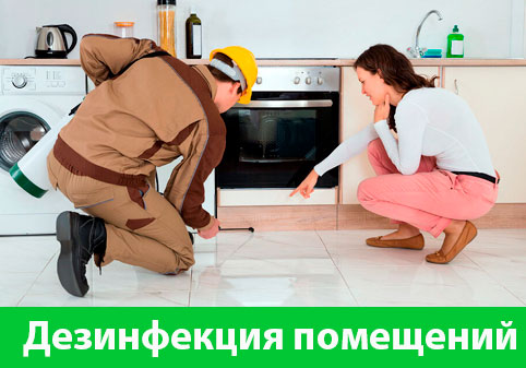 Дезинфекция офисов от коронавируса в городе Асбест