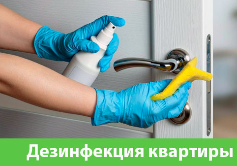 Дезинфекция квартиры в городе Асбест