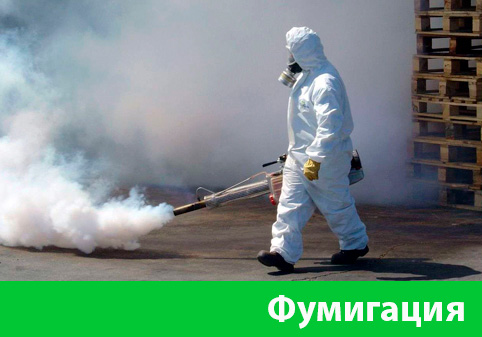 Фумигация в городе Асбест