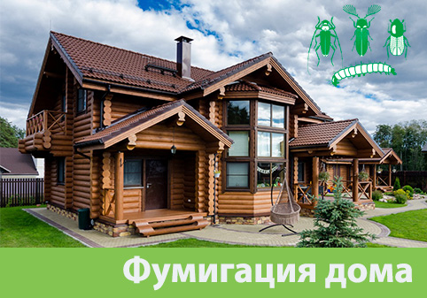 Преимущества обработки газом в городе Асбест