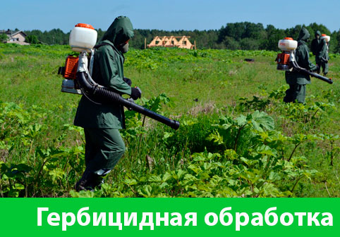 Гербицидная обработка в городе Асбест