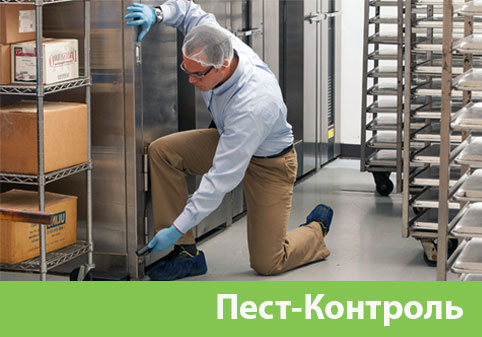 Пэст-Контроль в городе Асбест