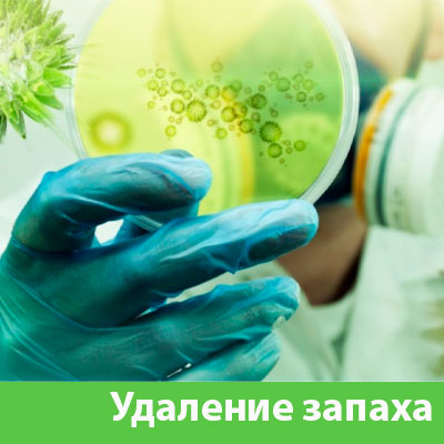 Удаление запахов в Асбесте