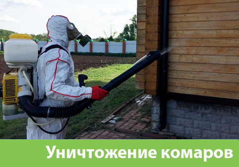 Уничтожение комаров в городе Асбест